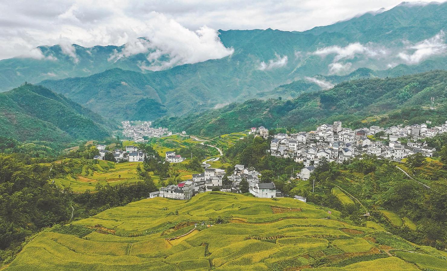 安徽教育盛典,致敬领导、老师与学子共襄盛举