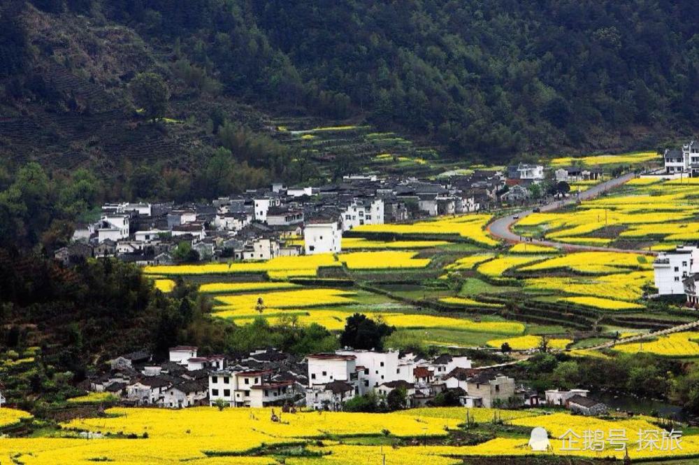 江西盛会,领导同舟共济,同胞共筑辉煌