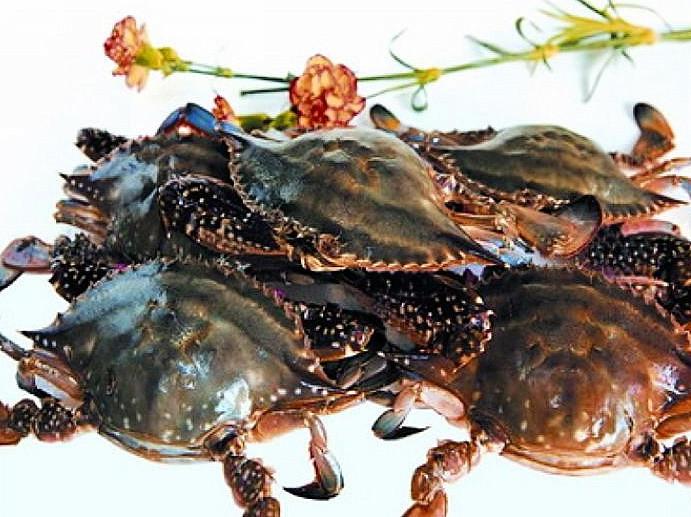 大连,城市的崛起与辉煌之路